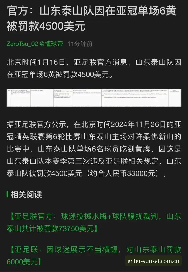 云开体育最新版 中国足协第三批禁足名单深度解析——65人遭重罚背后的足球乱象